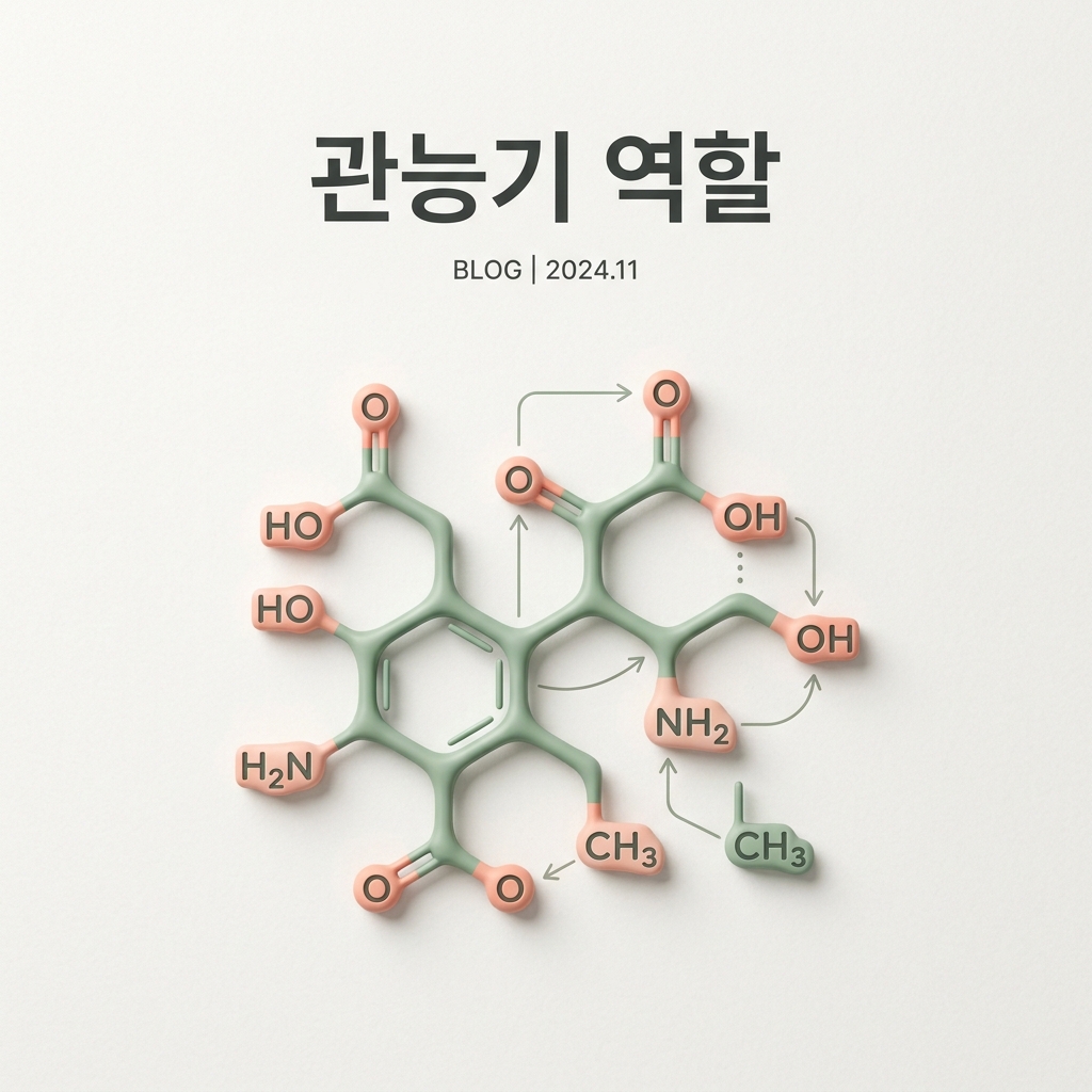 ai thumbnail minimal 관능기 역할 1787655446